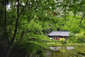 新緑の浄瑠璃寺本堂（国宝）