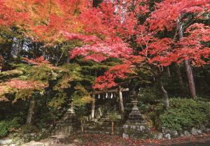 紅葉（大道神社）