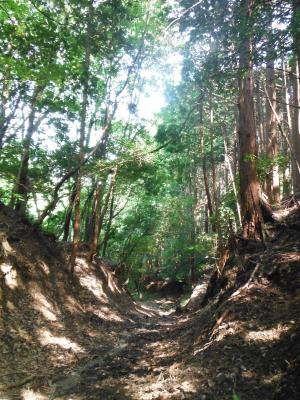 松峠付近（家康伊賀越え）