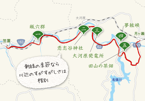 木津川沿いに茶畑を楽しむコース