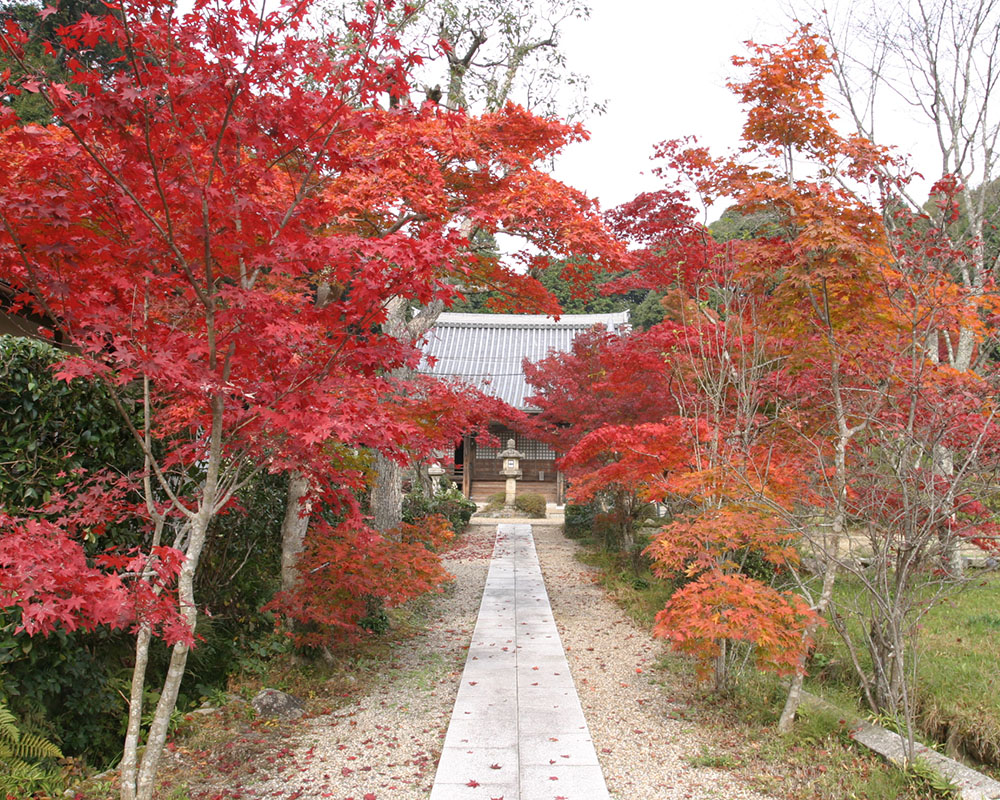  大御堂観音寺